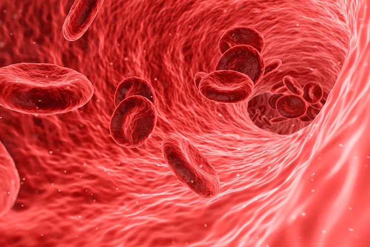 血液内科のイメージ画像